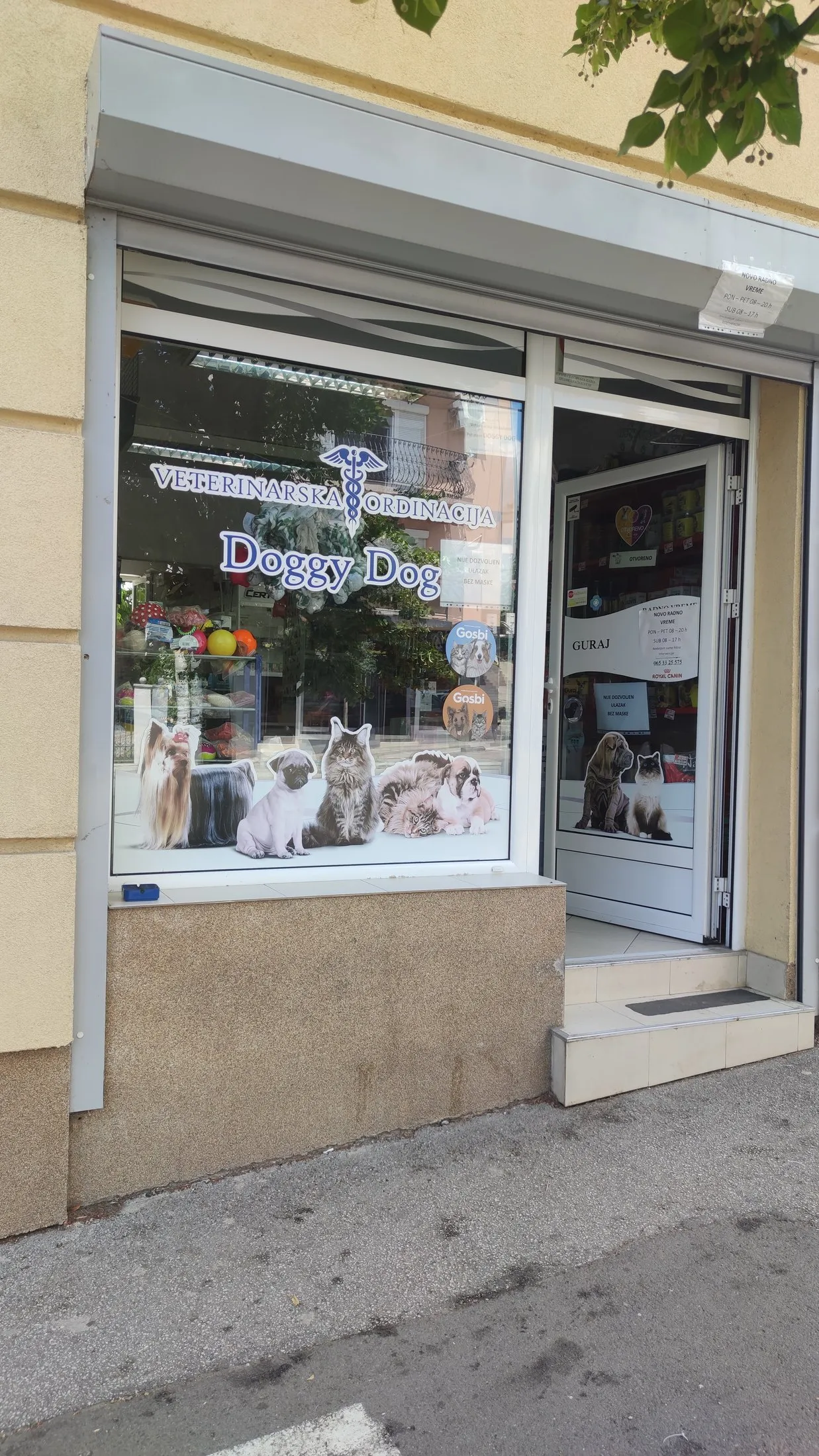 Izlog radnje Doggy Dog, Kralja Aleksandra Obrenovića